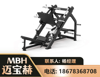 渭南45°倒蹬训练器