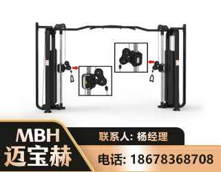 渭南大飞鸟训练器