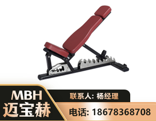 渭南可调哑铃椅